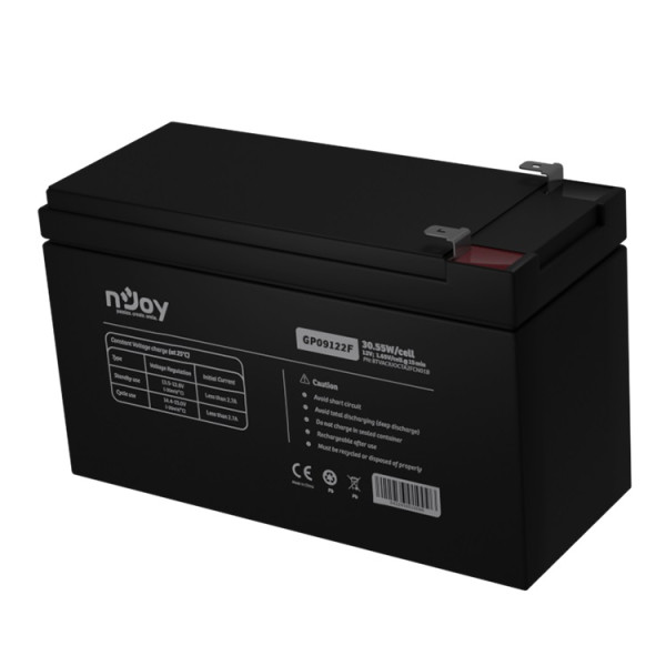 Аккумуляторная батарея Njoy GP09122F 12V 9AH (BTVACIUOCTA2FCN01B) AGM