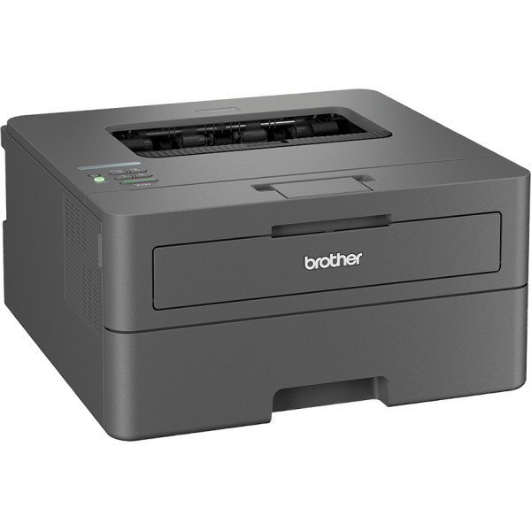 Принтер A4 Brother HL-L2442DW c Wi-Fi (HLL2442DWYJ1)