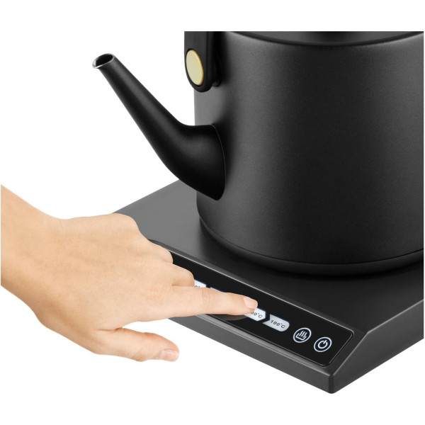 Электрочайник Catler Strix BM501VICTORIA