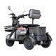 Электроскутер Maxxter Ant Li Gray