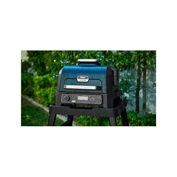 Гриль-барбекю Ninja Woodfire Pro XL OG850EU