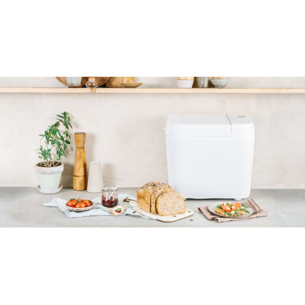 Хлебопечь Panasonic SD-B2510WTS