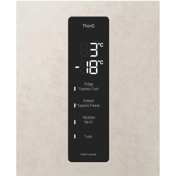 Холодильник LG GC-B509FEMW