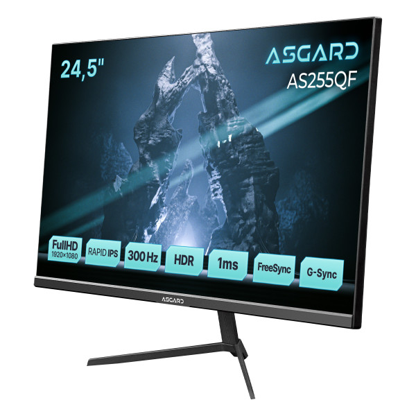 Монитор ASGARD Gaming 24.5
