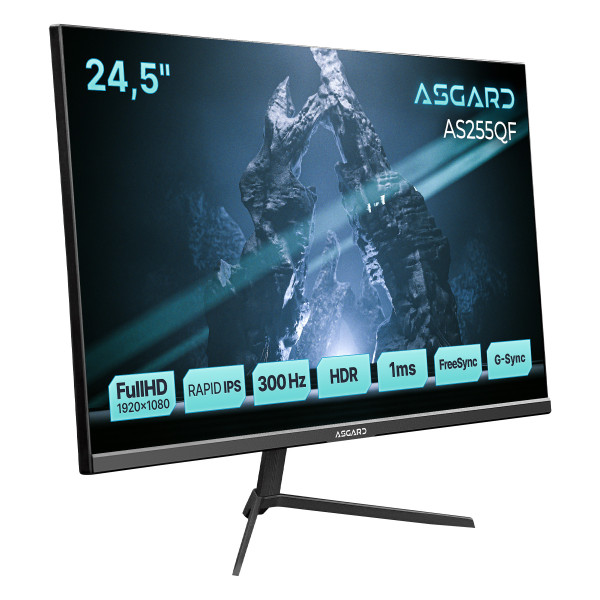 Монитор ASGARD Gaming 24.5