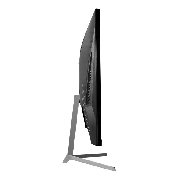 Монитор ASGARD Gaming 24.5