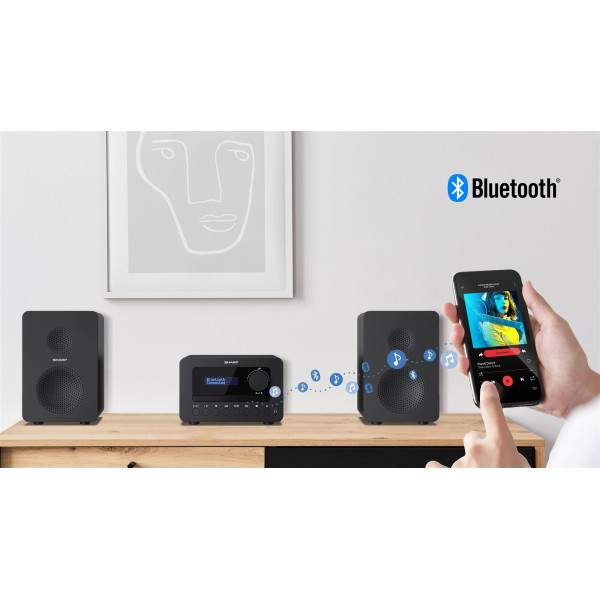 Микросистема Sharp Micro Sound System Black (XL-B514(BK))