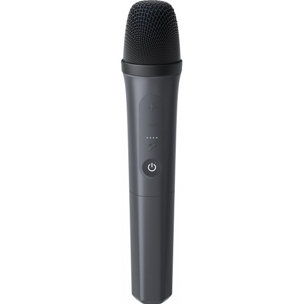 Акустическая система Anker SoundCore Rave 3S Black (A31A3012)