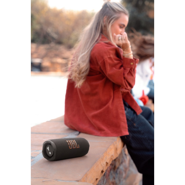 Акустическая система JBL Flip 7 Black (JBLFLIP7BLK)