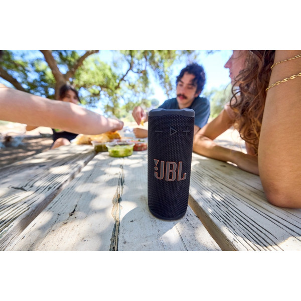 Акустическая система JBL Grip Black (JBLGRIPBLK)