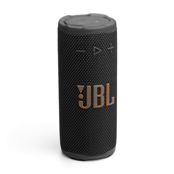 Акустическая система JBL Grip Black (JBLGRIPBLK)