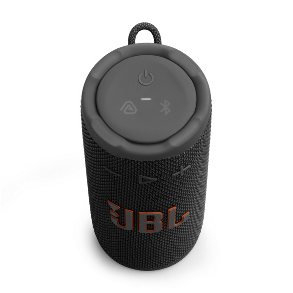 Акустическая система JBL Grip Black (JBLGRIPBLK)