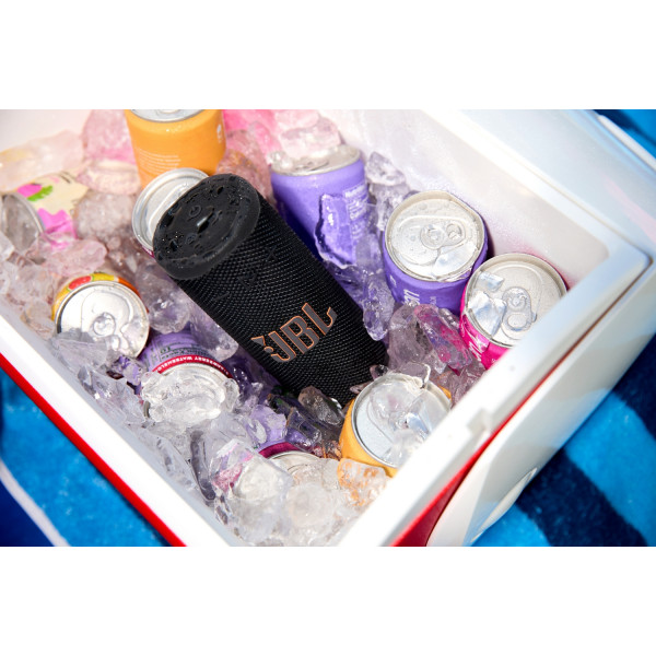 Акустическая система JBL Grip Black (JBLGRIPBLK)