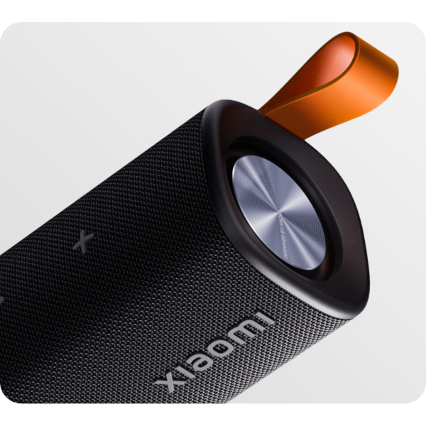 Акустическая система Xiaomi Sound Outdoor Black (QBH4261GL)