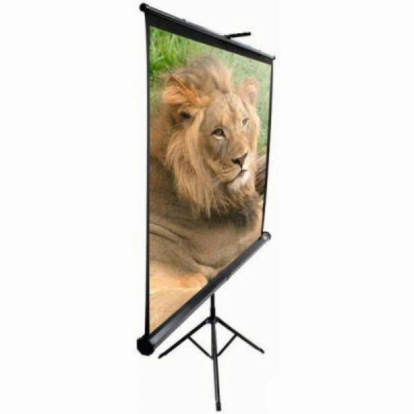 Экран на треноге Elite Screens 100