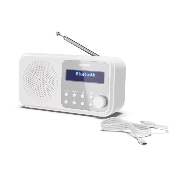 Радиоприемник Sharp DR-P420 Snowy White (DR-P420(WH))