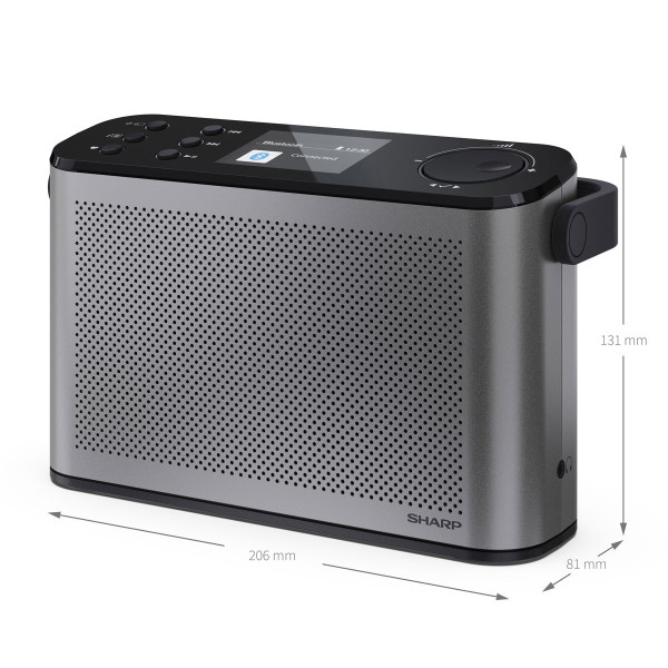 Радиоприемник Sharp DR-P540 Grey (DR-P540(GY))