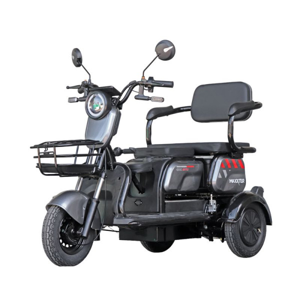 Електроскутер Maxxter ANT LI (Gray)