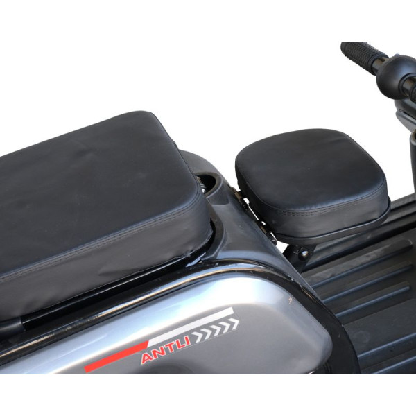 Електроскутер Maxxter ANT LI (Gray)