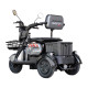 Електроскутер Maxxter ANT LI (Gray)