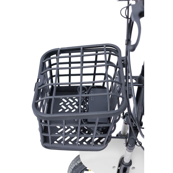 Електроскутер Maxxter E500 (Beige)