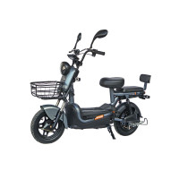 Електроскутер Maxxter E600 (Silver)