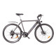 Електричний велосипед Maxxter ROAD MASTER (gray)