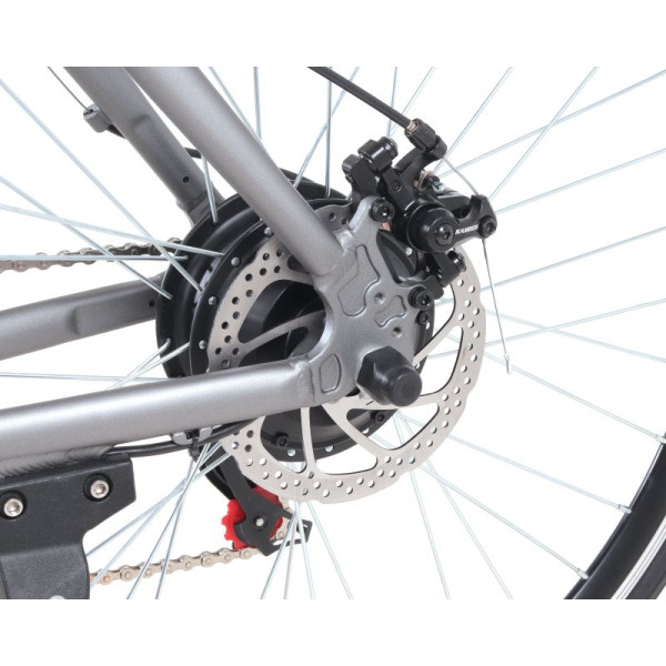 Електричний велосипед Maxxter ROAD MASTER (gray)