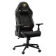 Кресло для геймеров Cougar Explore Royal F Black