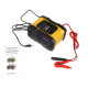 Зарядний пристрій Maxxter MX-CHR-1224V10P