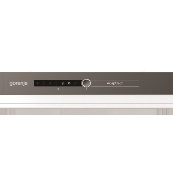 Вбудований холодильник Gorenje RI 2181 A1